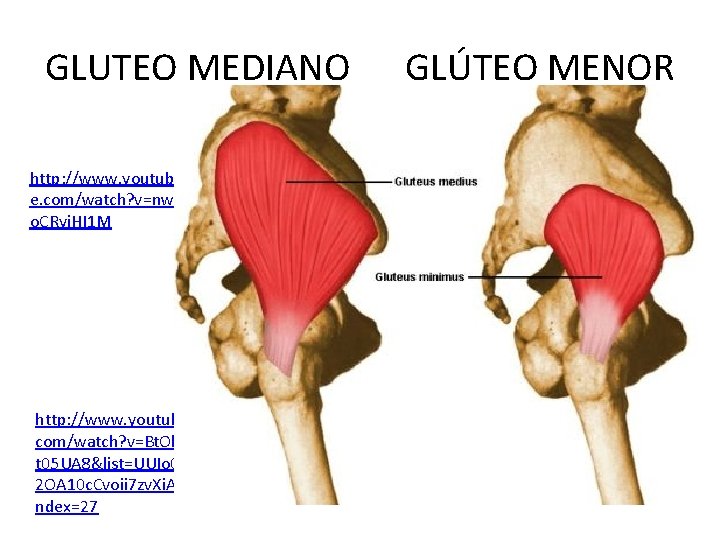 GLUTEO MEDIANO http: //www. youtub e. com/watch? v=nw o. CRyi. HI 1 M http: