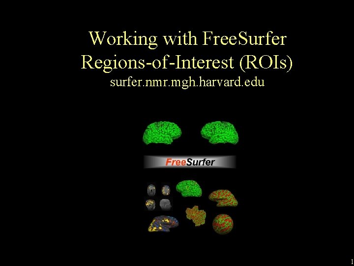 Working with Free. Surfer Regions-of-Interest (ROIs) surfer. nmr. mgh. harvard. edu 1 