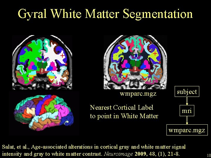 Gyral White Matter Segmentation + + wmparc. mgz Nearest Cortical Label to point in