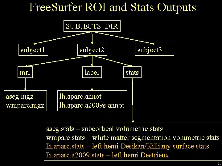 Free. Surfer ROI and Stats Outputs SUBJECTS_DIR subject 1 subject 2 mri label aseg.