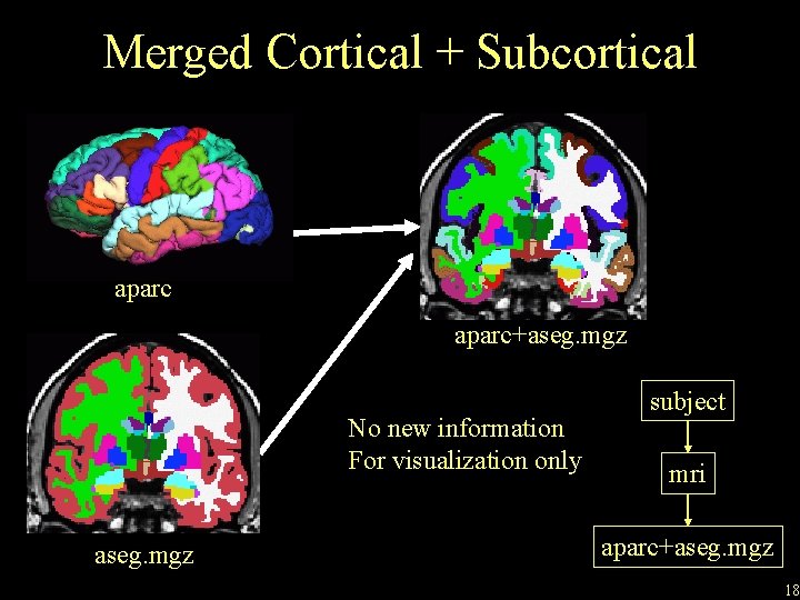 Merged Cortical + Subcortical aparc+aseg. mgz No new information For visualization only aseg. mgz