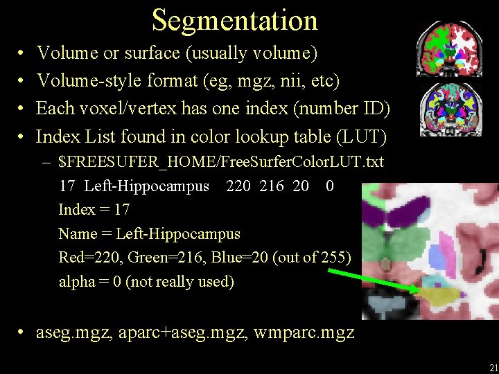 Segmentation • • Volume or surface (usually volume) Volume-style format (eg, mgz, nii, etc)