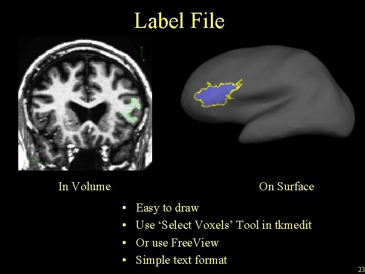Label File In Volume On Surface • • Easy to draw Use ‘Select Voxels’