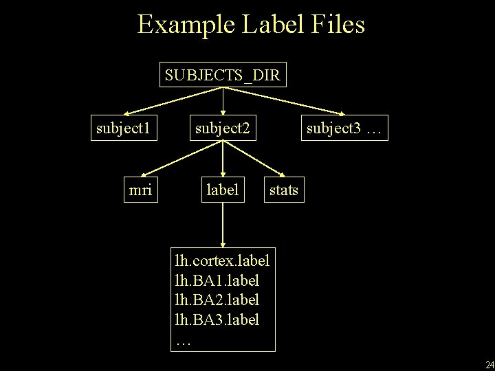 Example Label Files SUBJECTS_DIR subject 1 mri subject 2 label subject 3 … stats
