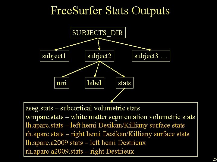 Free. Surfer Stats Outputs SUBJECTS_DIR subject 1 mri subject 2 label subject 3 …