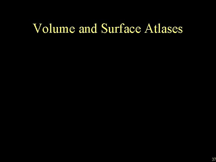 Volume and Surface Atlases 37 