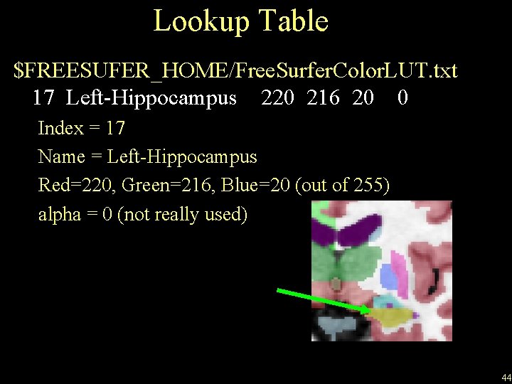 Lookup Table $FREESUFER_HOME/Free. Surfer. Color. LUT. txt 17 Left-Hippocampus 220 216 20 0 Index