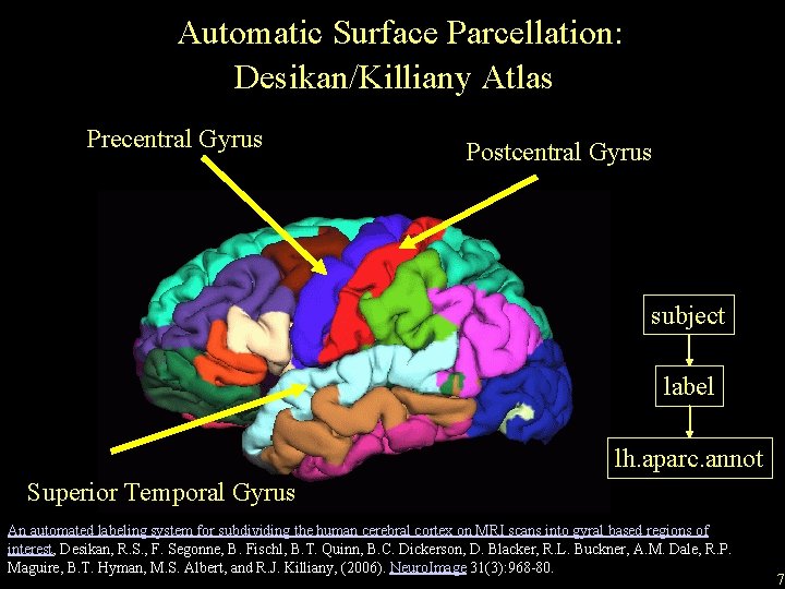 Automatic Surface Parcellation: Desikan/Killiany Atlas Precentral Gyrus Postcentral Gyrus subject label lh. aparc. annot