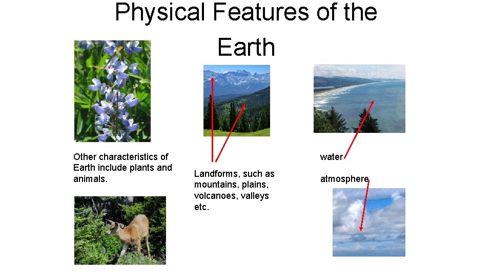 Physical Features of the Earth Other characteristics of Earth include plants and animals. water