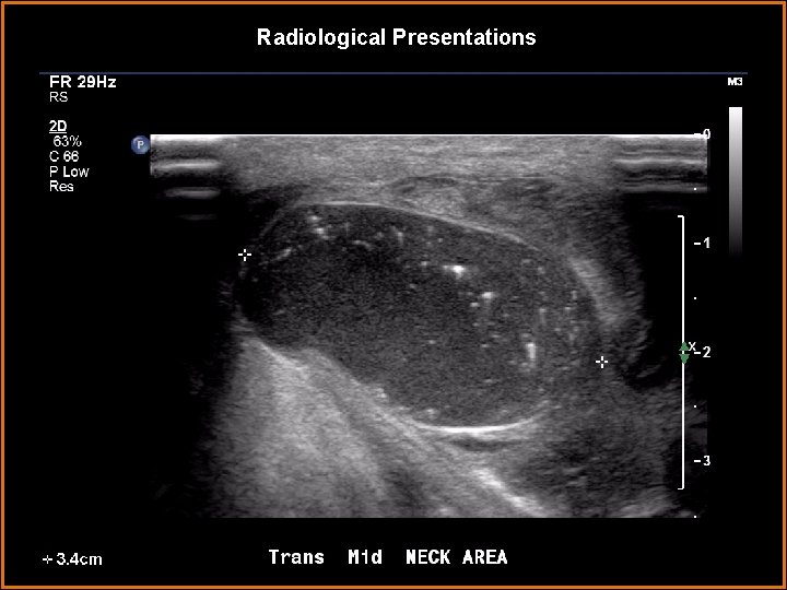 Radiological Presentations 