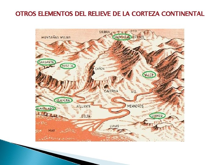 OTROS ELEMENTOS DEL RELIEVE DE LA CORTEZA CONTINENTAL 