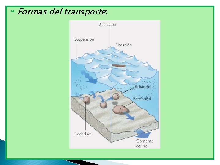  Formas del transporte: 