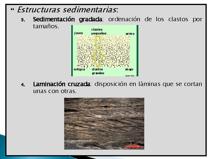  Estructuras sedimentarias: 3. Sedimentación gradada: ordenación de los clastos por tamaños. 4. Laminación