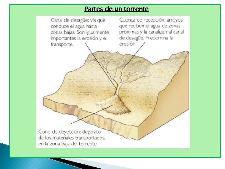 Partes de un torrente 