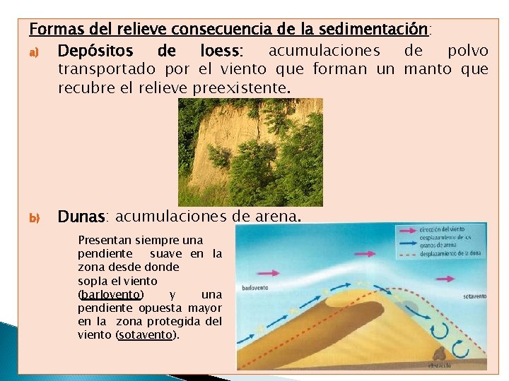 Formas del relieve consecuencia de la sedimentación: a) Depósitos de loess: acumulaciones de polvo