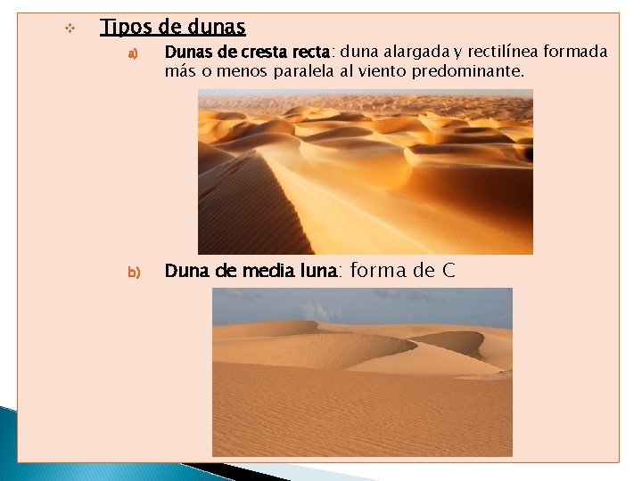 v Tipos de dunas a) b) Dunas de cresta recta: duna alargada y rectilínea