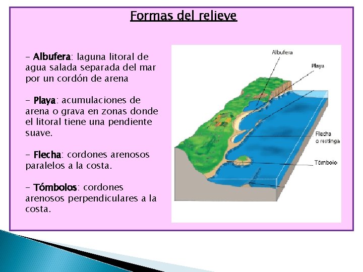 Formas del relieve - Albufera: laguna litoral de agua salada separada del mar por