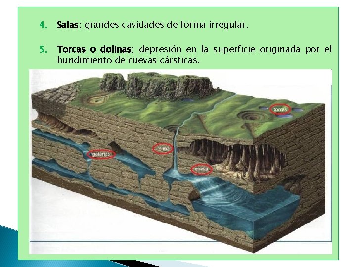 4. Salas: grandes cavidades de forma irregular. 5. Torcas o dolinas: depresión en la