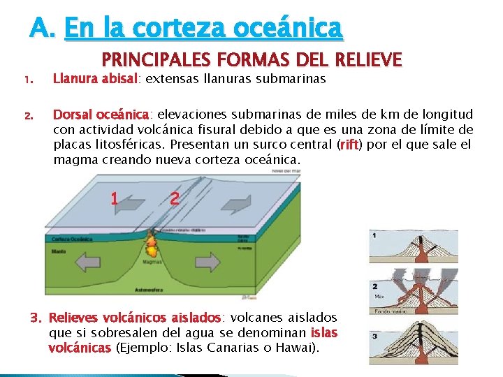 A. En la corteza oceánica PRINCIPALES FORMAS DEL RELIEVE 1. Llanura abisal: extensas llanuras