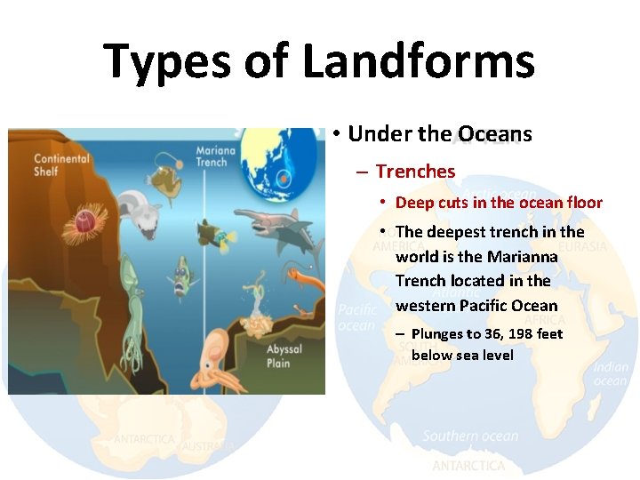 Types of Landforms • Under the Oceans – Trenches • Deep cuts in the