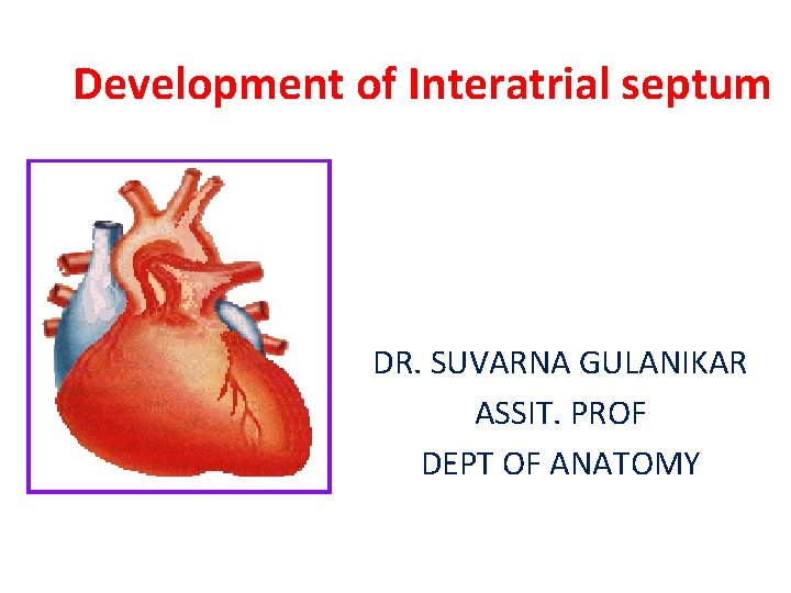 Development of Interatrial septum DR. SUVARNA GULANIKAR ASSIT. PROF DEPT OF ANATOMY 