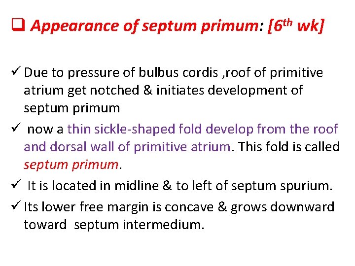 q Appearance of septum primum: [6 th wk] ü Due to pressure of bulbus