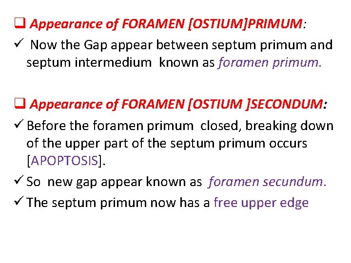 q Appearance of FORAMEN [OSTIUM]PRIMUM: ü Now the Gap appear between septum primum and