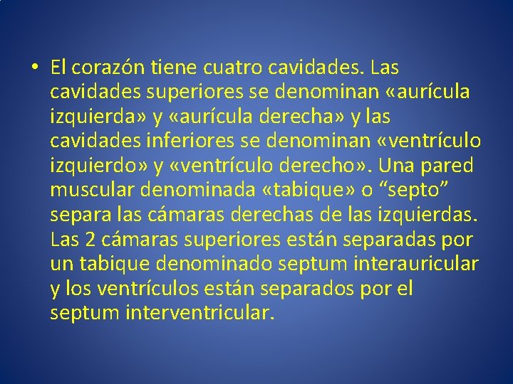 • El corazón tiene cuatro cavidades. Las cavidades superiores se denominan «aurícula izquierda» • El corazón tiene cuatro cavidades. Las cavidades superiores se denominan «aurícula izquierda»