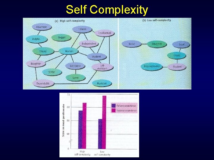 Self Complexity 