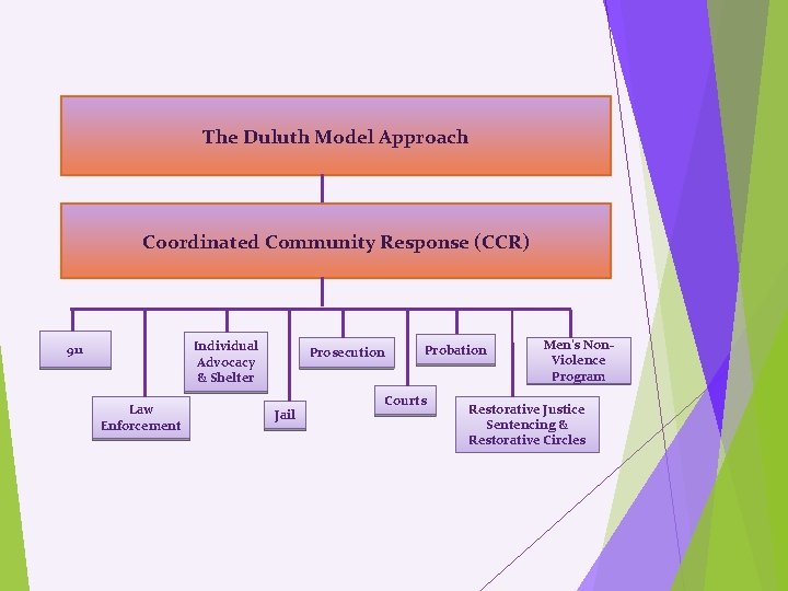 The Duluth Model Approach Coordinated Community Response (CCR) Individual Advocacy & Shelter 911 Law