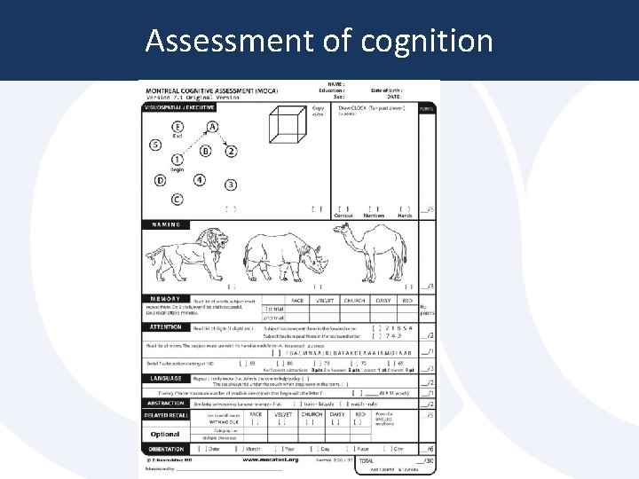 Assessment of cognition Assessment of cognition