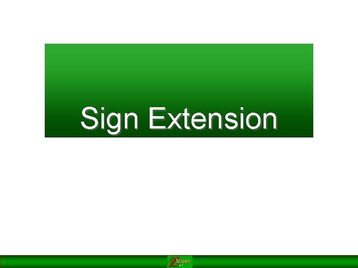 Sign Extension 