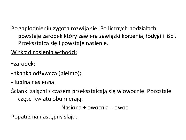 Po zapłodnieniu zygota rozwija się. Po licznych podziałach powstaje zarodek który zawiera zawiązki korzenia,