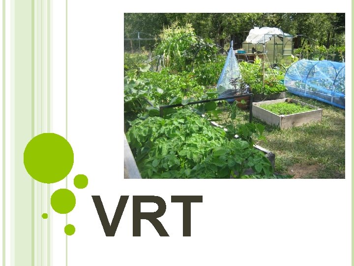 VRT 