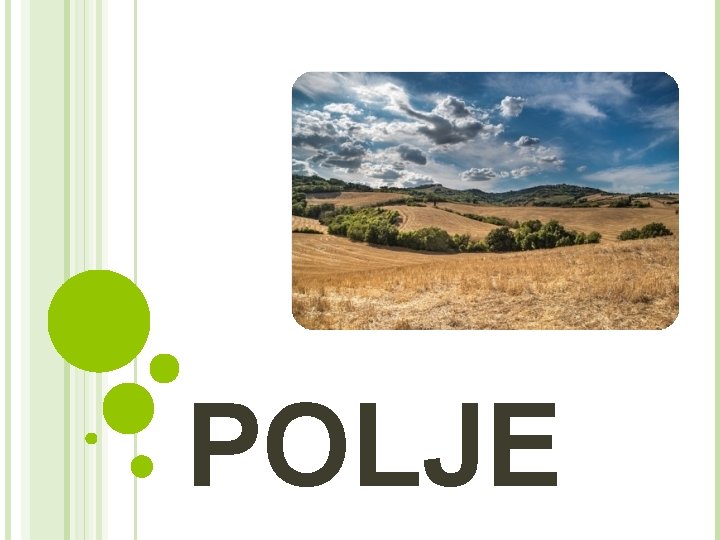 POLJE 