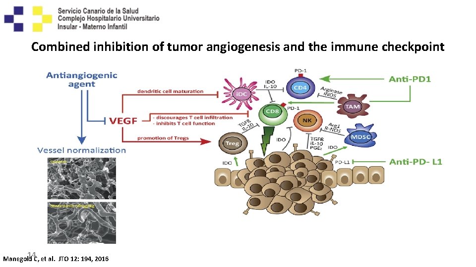 Combined inhibition of tumor angiogenesis and the immune checkpoint 14 Manegold C, et al.