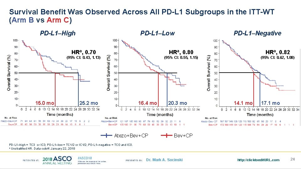 Survival Benefit Was Observed Across All PD-L 1 Subgroups in the ITT-WT (Arm B