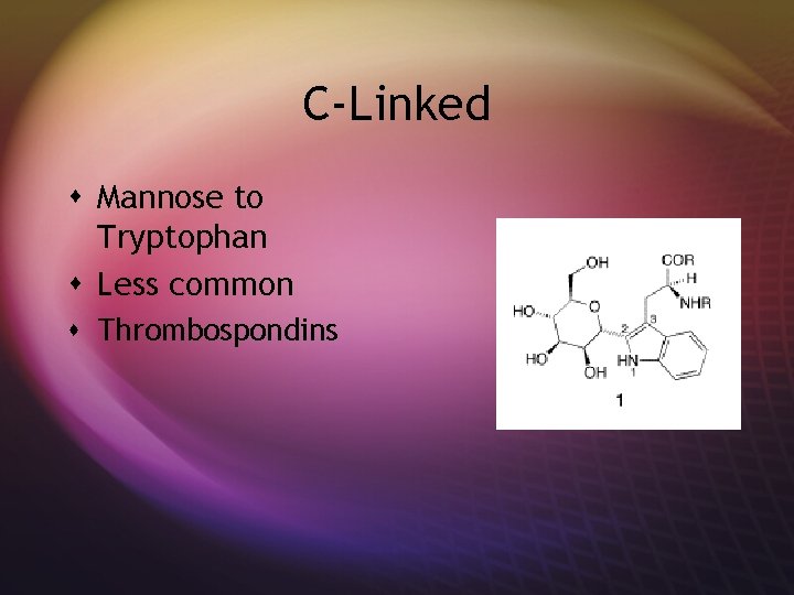 C-Linked s Mannose to Tryptophan s Less common s Thrombospondins 