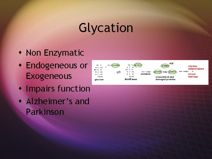 Glycation s Non Enzymatic s Endogeneous or Exogeneous s Impairs function s Alzheimer’s and