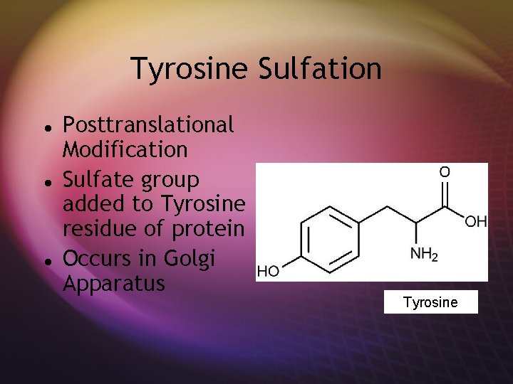 Tyrosine Sulfation Posttranslational Modification Sulfate group added to Tyrosine residue of protein Occurs in