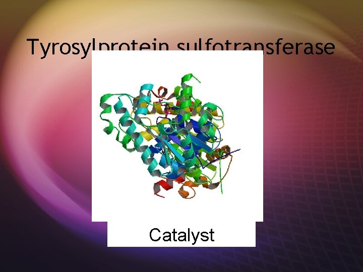 Tyrosylprotein sulfotransferase Catalyst 