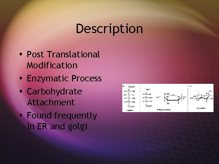 Description s Post Translational Modification s Enzymatic Process s Carbohydrate Attachment s Found frequently