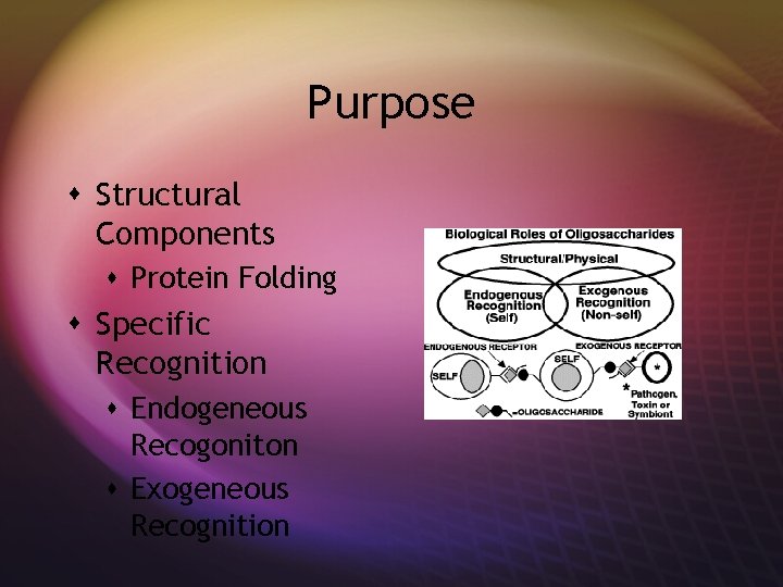 Purpose s Structural Components s Protein Folding s Specific Recognition s Endogeneous Recogoniton s