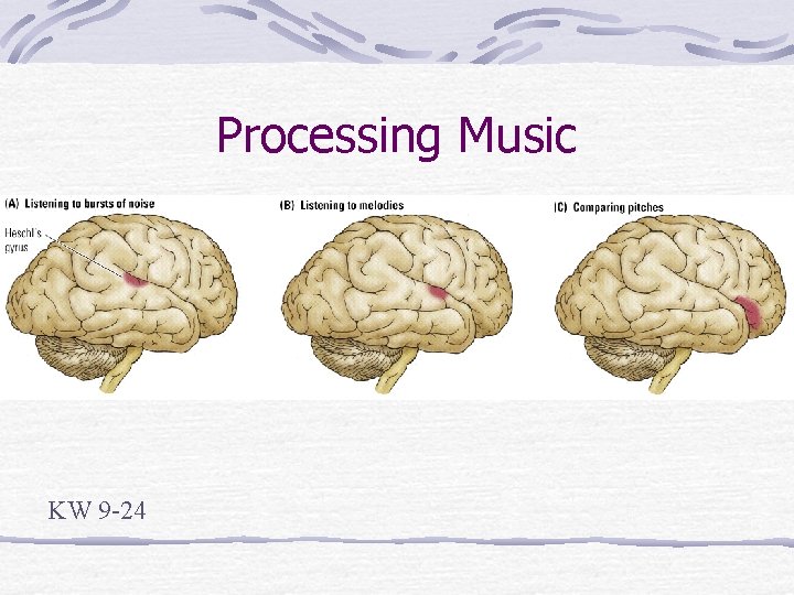 Processing Music KW 9 -24 