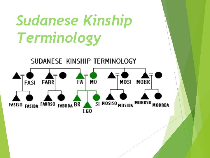 Sudanese Kinship Terminology 