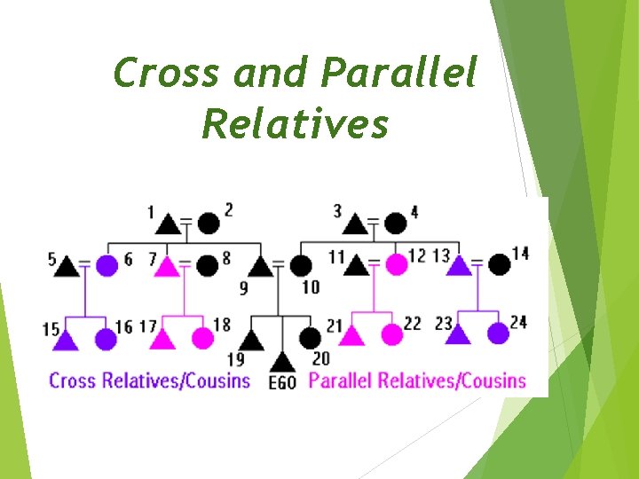 Cross and Parallel Relatives 