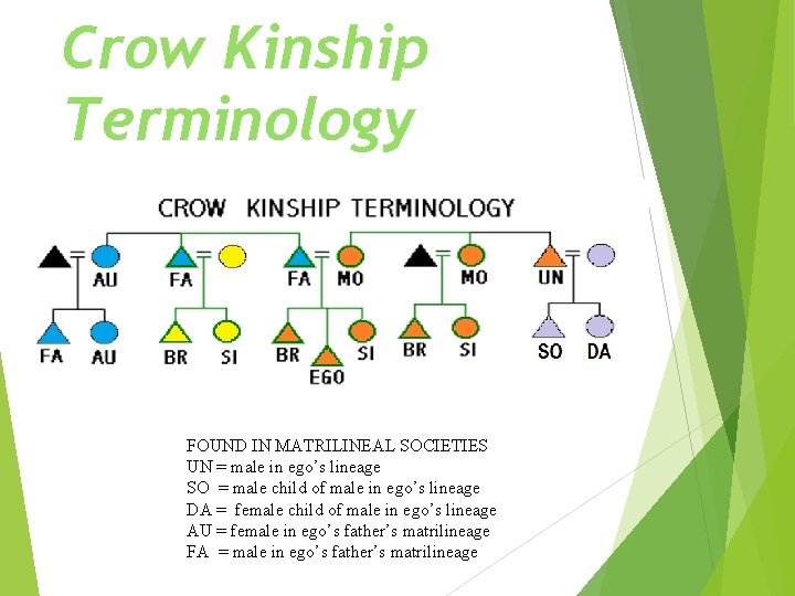 Crow Kinship Terminology FOUND IN MATRILINEAL SOCIETIES UN = male in ego’s lineage SO