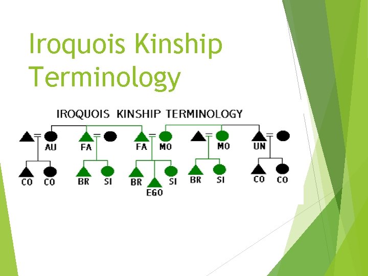 Iroquois Kinship Terminology 