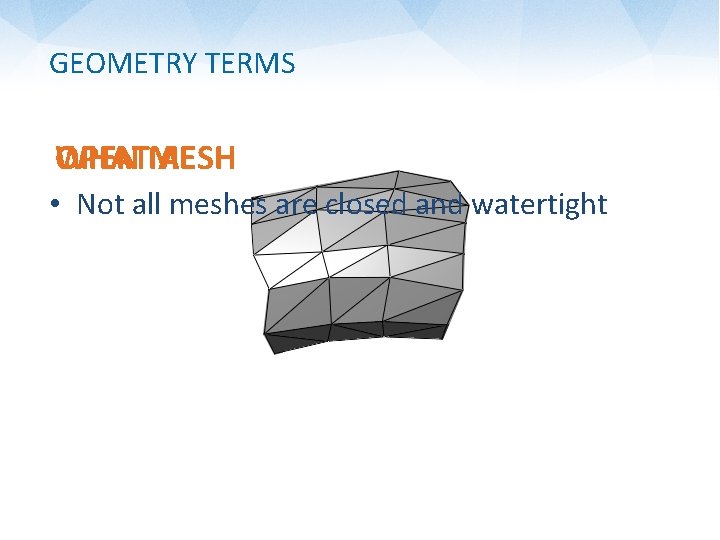 GEOMETRY TERMS WHATMESH OPEN AM I? • Not all meshes are closed and watertight