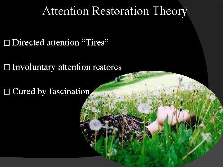 Attention Restoration Theory � Directed attention “Tires” � Involuntary � Cured attention restores by
